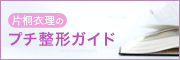 片桐衣理のプチ整形ガイド