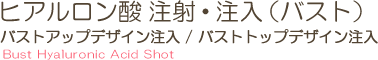 ニューフィル注射 New-Fill Shot