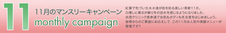 11月のマンスリーキャンペーン