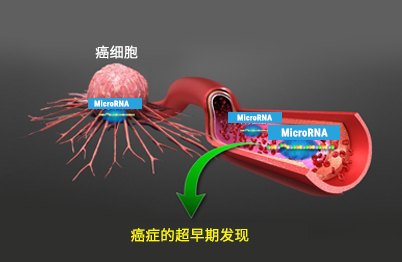 检查从癌细胞分泌出来的microRNA