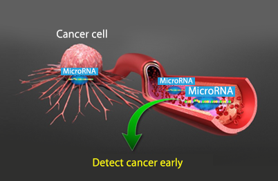 Detects the secretion of microRNA