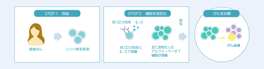 αβT細胞療法イメージ