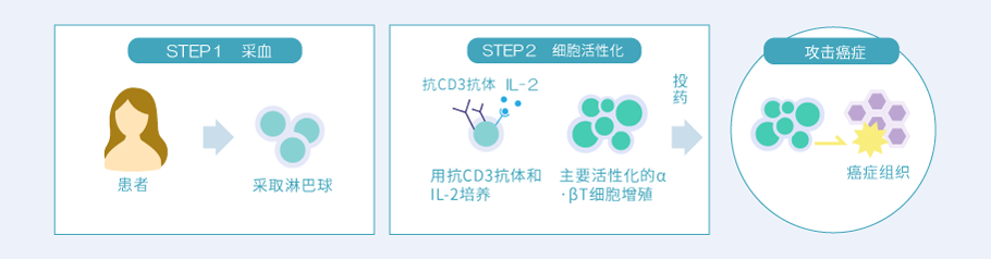 αβT細胞療法イメージ