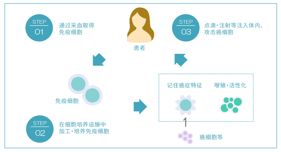 免疫細胞治療のしくみ