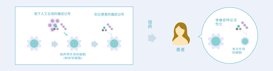 樹状細胞ワクチン療法イメージ