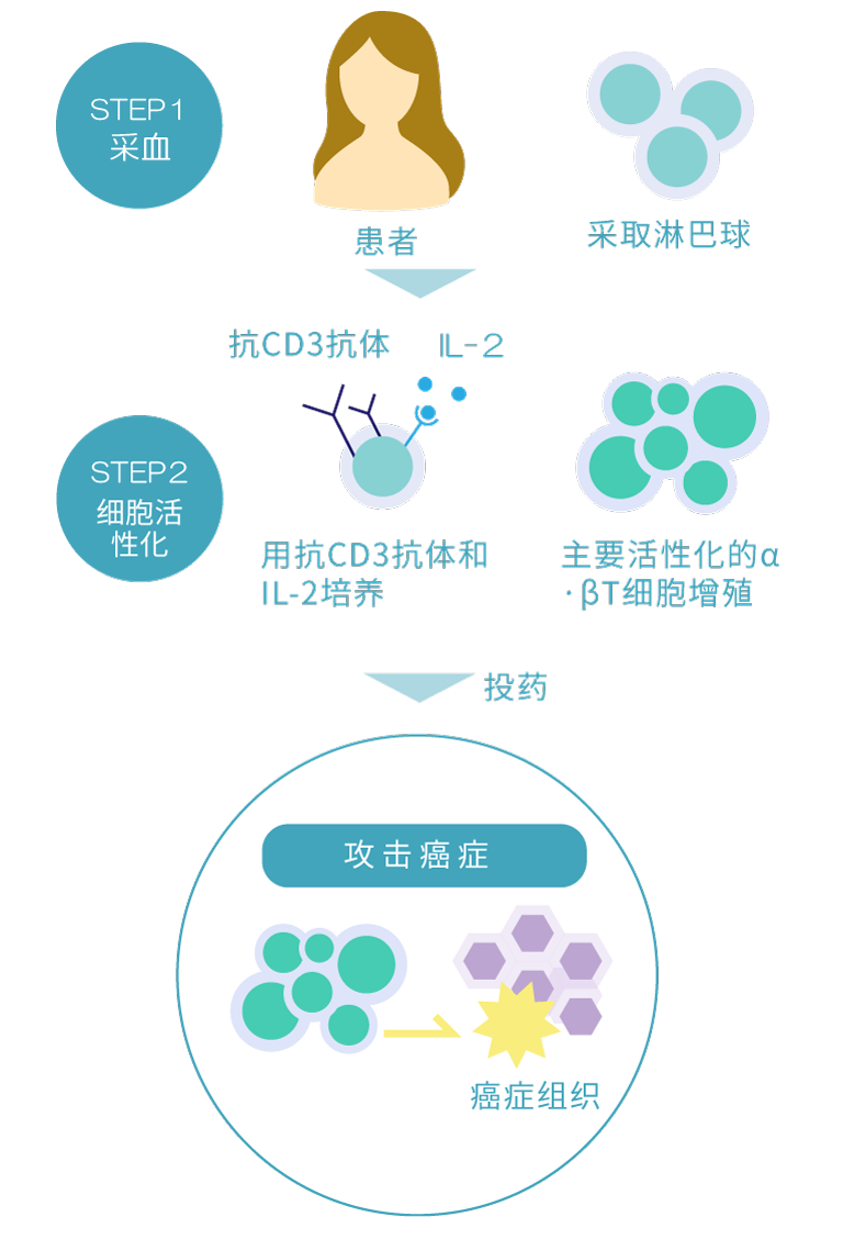 αβT細胞療法イメージ