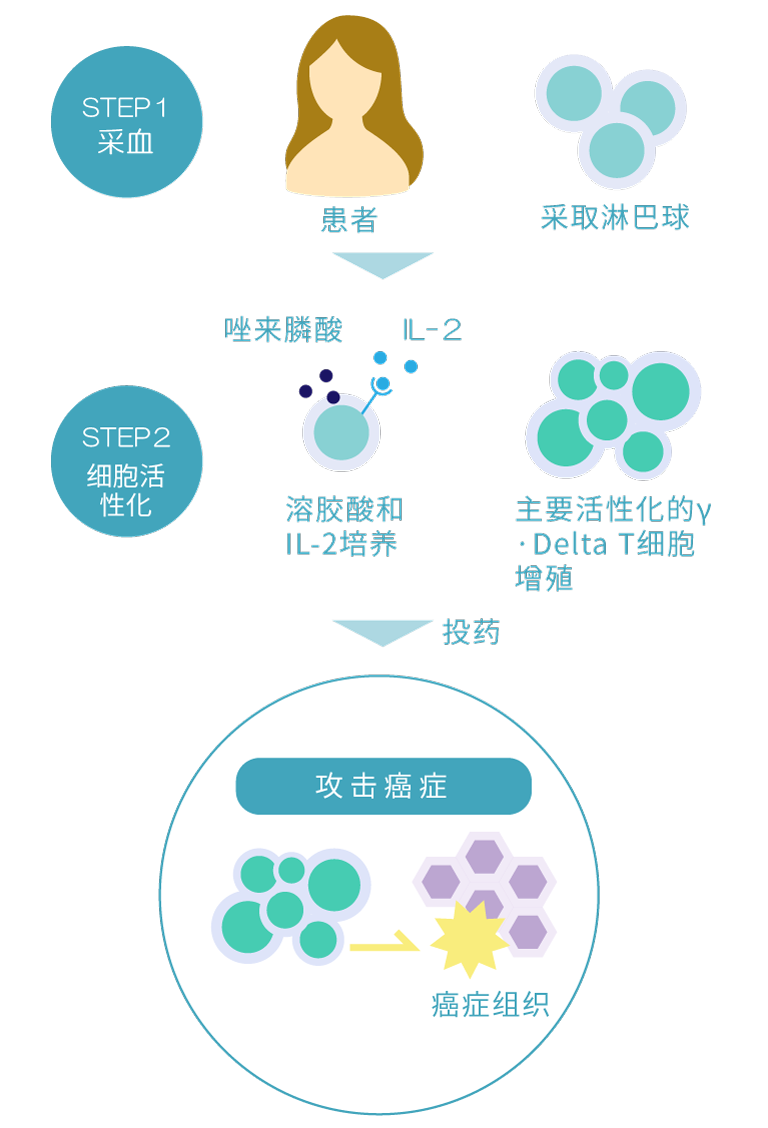 γδT細胞療法イメージ