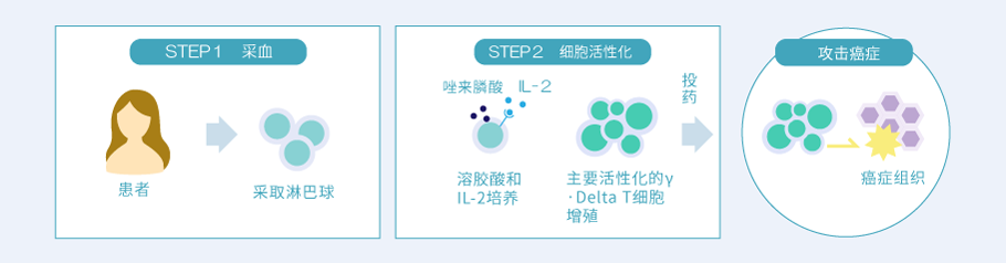 γδT細胞療法イメージ