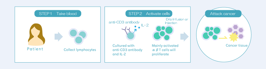 αβT細胞療法イメージ