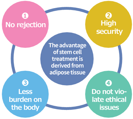 自己脂肪由来幹細胞治療の特徴