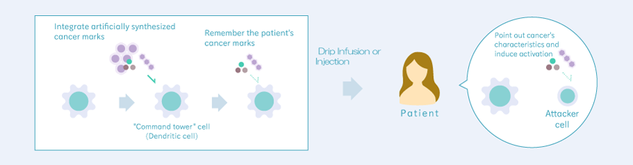 樹状細胞ワクチン療法イメージ