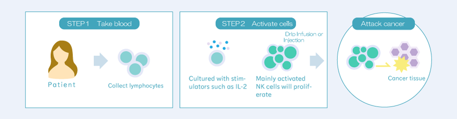 NK細胞療法イメージ