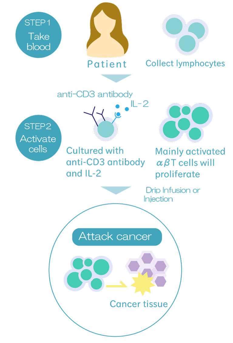 αβT細胞療法イメージ