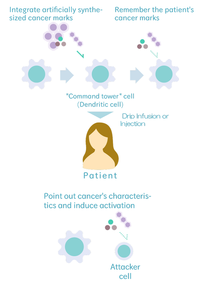 樹状細胞ワクチン療法イメージ