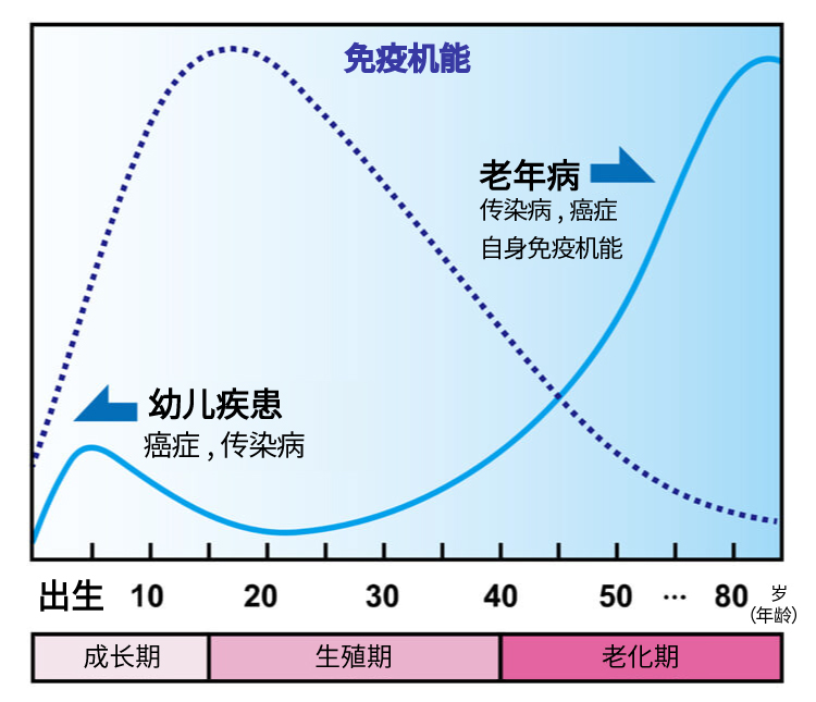 免疫力が下がる要因