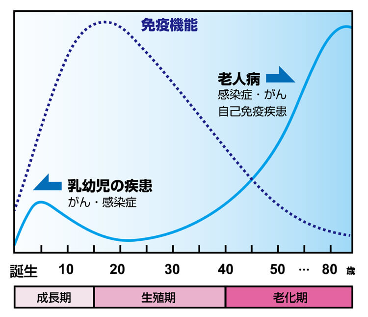 免疫力が下がる要因