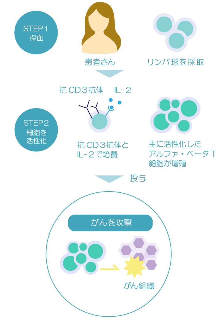 αβT細胞療法イメージ