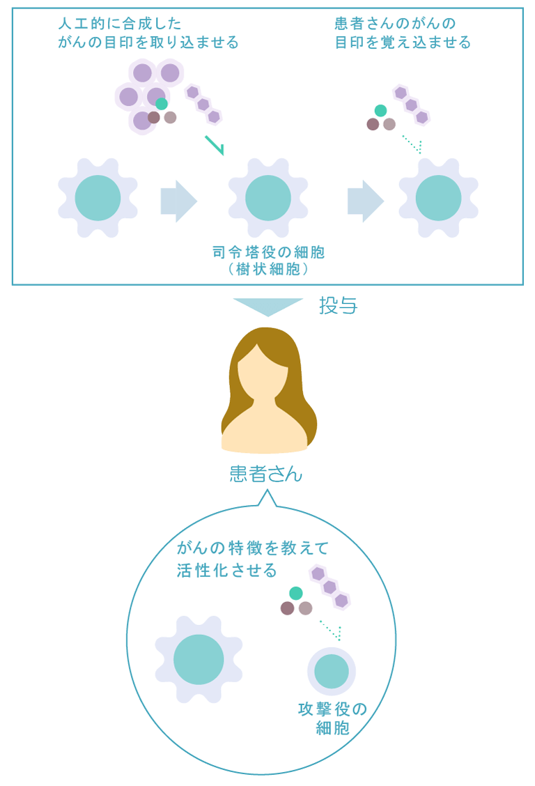 樹状細胞ワクチン療法イメージ