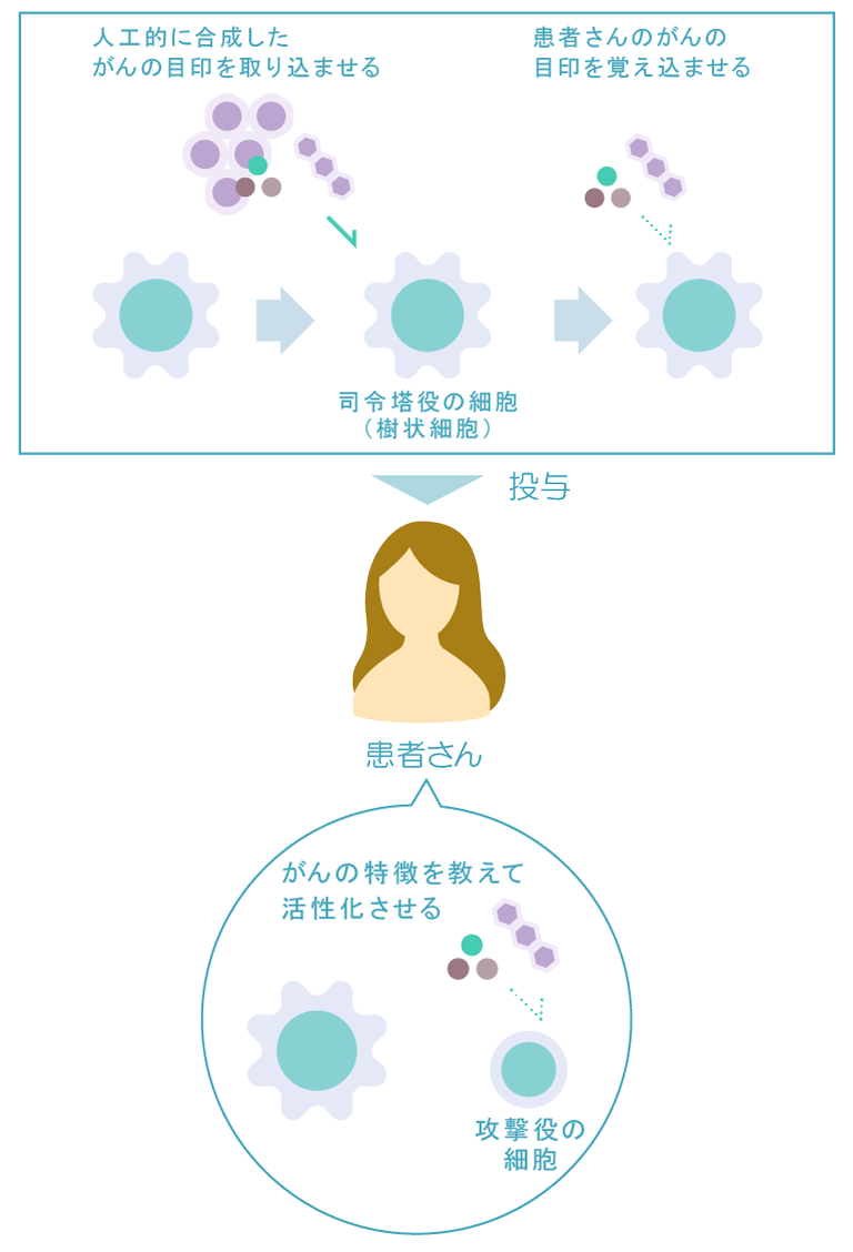 樹状細胞療法イメージ