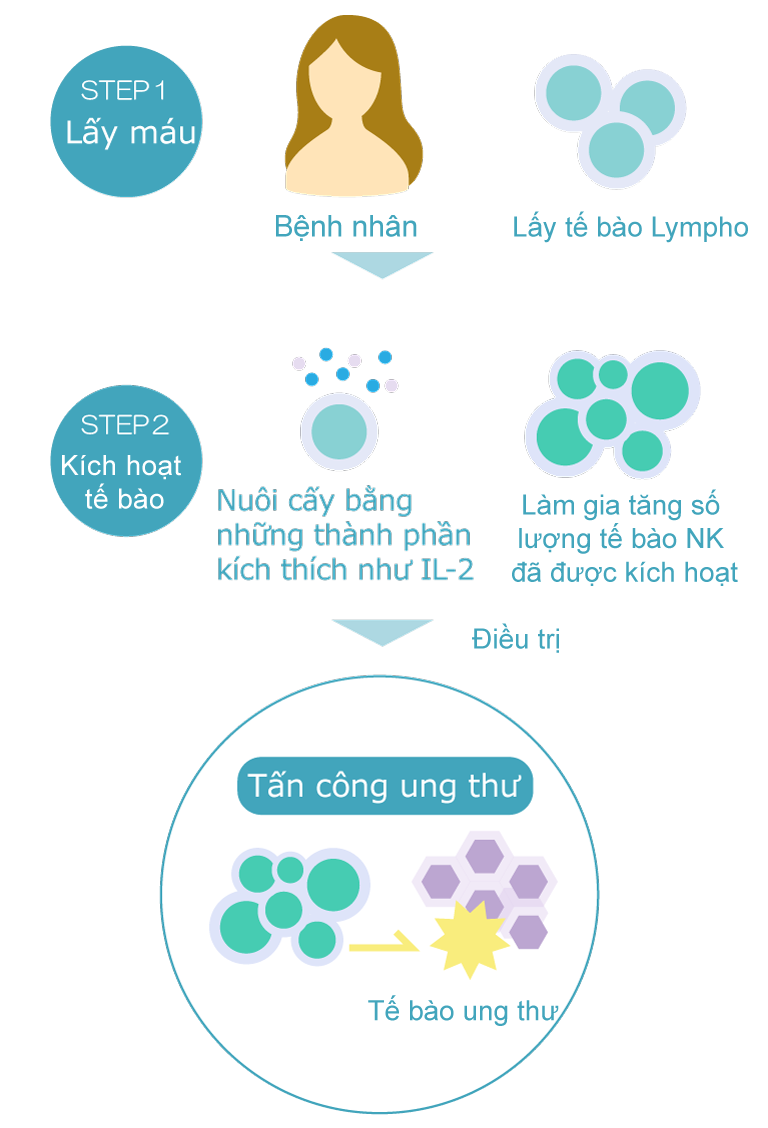 NK細胞療法イメージ