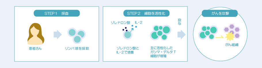 γδT細胞療法イメージ