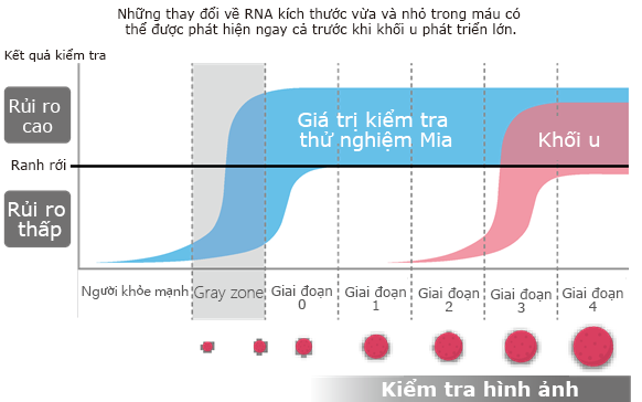 Số lượng microRNA trong máu và giai đoạn ung thư · Kích cỡ khối u