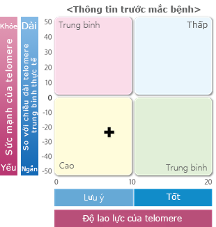 Độ mạnh của Telomere (độ mạnh của gen di truyền)