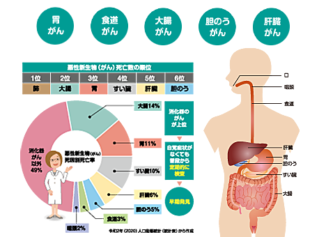 消化器系癌について