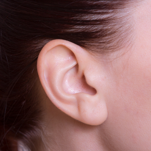耳たぶ形成術 イメージ