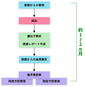 検査の流れ