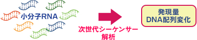 血液中の全小分子RNA (1万種類以上）を測定