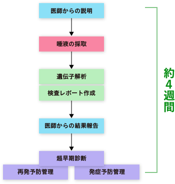検査の流れ